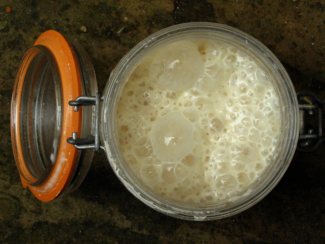 Et glass med et boblende, fermentert melkeprodukt, sannsynligvis kefir, i en tradisjonell konserveringskrukke med oransje gummipakning, som viser aktiv fermentering.